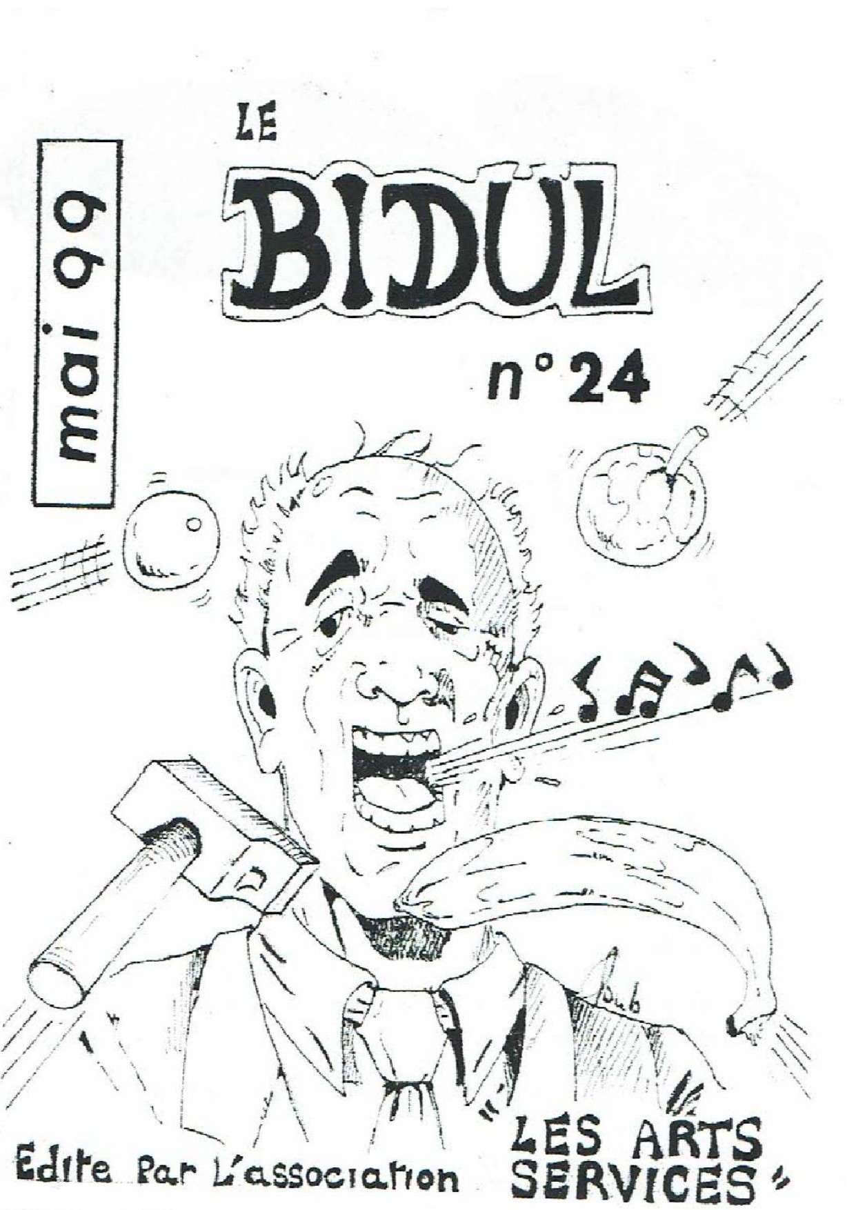 Bidul #24
